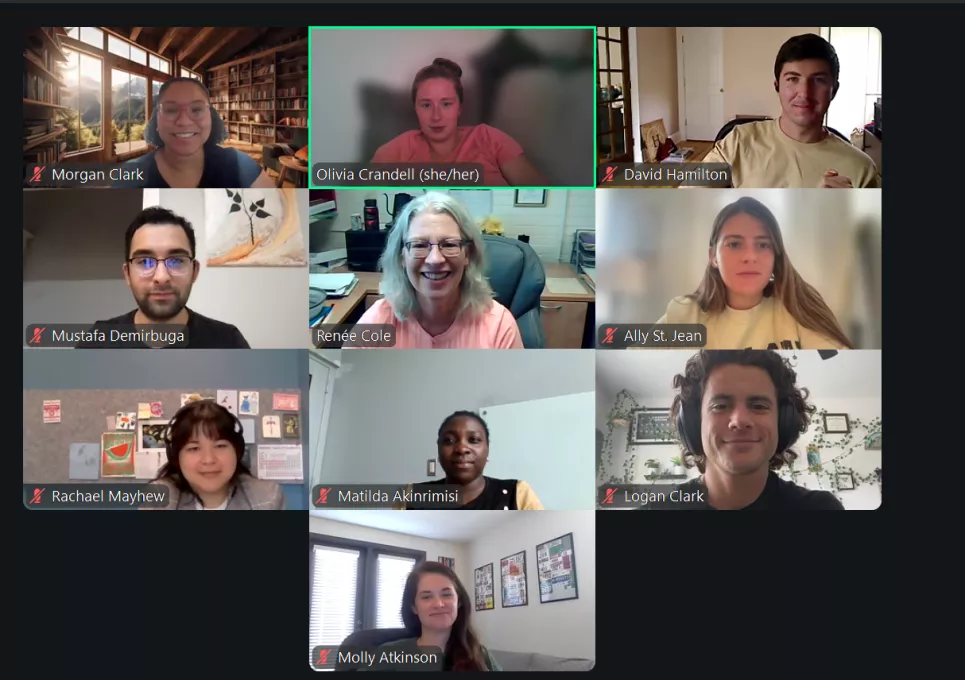 Virtual Conference for Graduate Students and Postdocs in Chemical Education Research