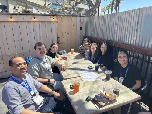 Early Career Chemistry Education Scholars